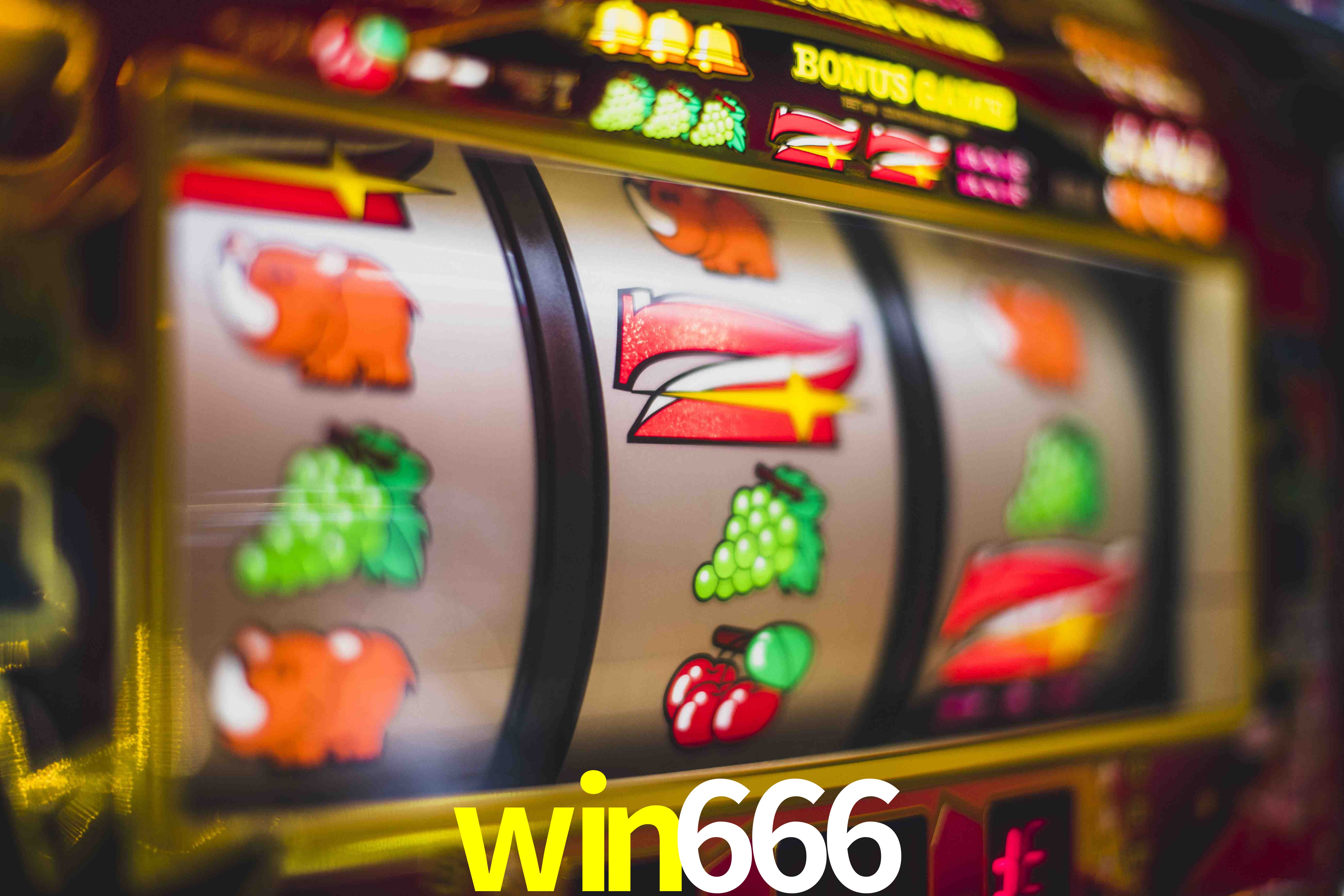 Basketball Betting win666