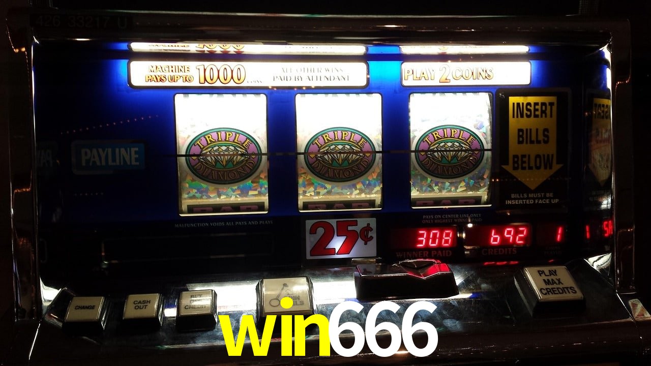 Sports Statistics win666